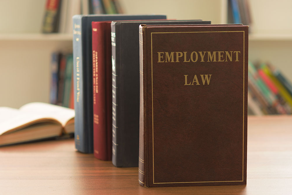 Exactly What Do THE Primary EMPLOYMENT Laws and regulations COVER?