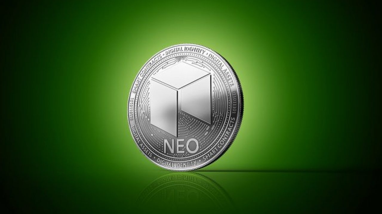 Basics of the NEO network ecosystem