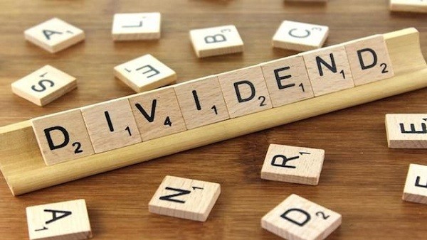 WHY ARE DIVIDEND STOCKS IMPORTANT TO INVESTORS?