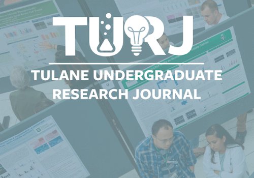 Exploring The Allure Of Turj: A Comprehensive Guide